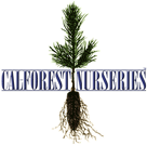 Calforest Logo